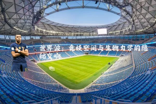 世界波:竞技空间与生物力学的隐秘交响